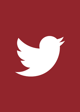 Der weiße Vogel vom Twitter Logo mit dem GO! rot im Hintergrund