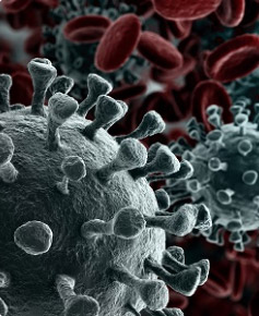 Nahaufnahme von grauen und roten Viruszellen